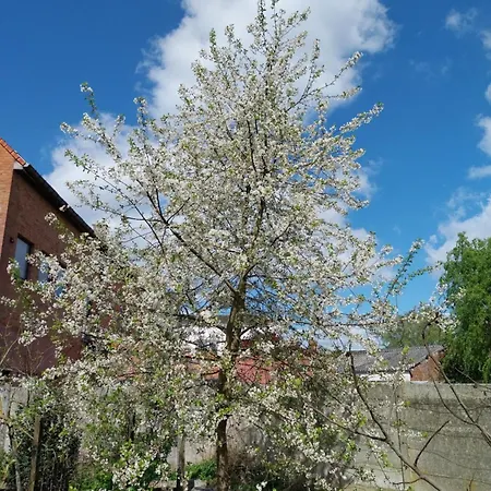 Bed & Breakfast Au Coeur D'acren 3*